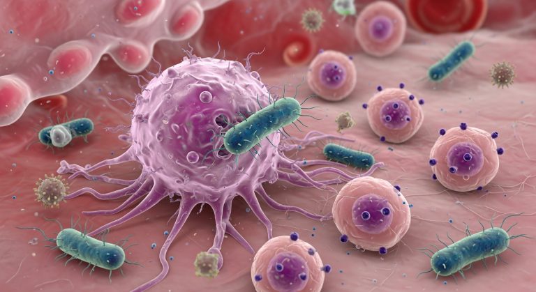 Daily habits for stronger immunity